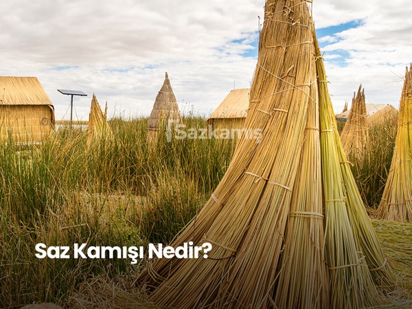 Hasır Nedir? Hasırdan Neler Yapılır?