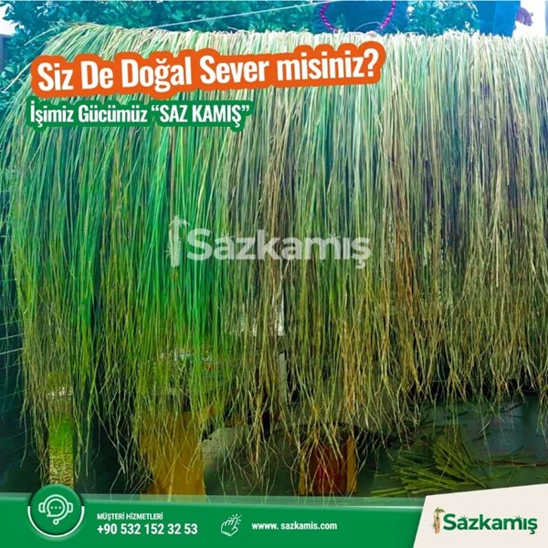 Doğal Ot Çatı Kaplama