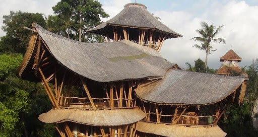 Afrika çatısı bakımı nasıl yapılır? Nasıl temizlenir?