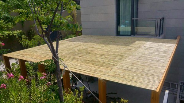 Saz Kamışı nerelerde kullanılır?