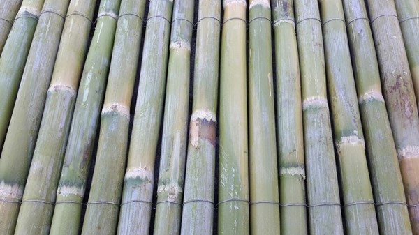 Bambu dekorasyon ürünleri neden tercih edilmelidir?