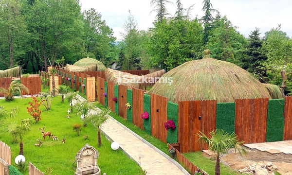 Hasır Kamelya Ürünleri