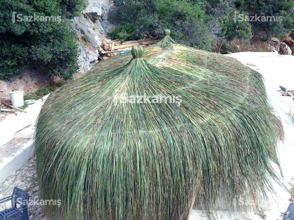 Hasır Kamelya Ürünleri