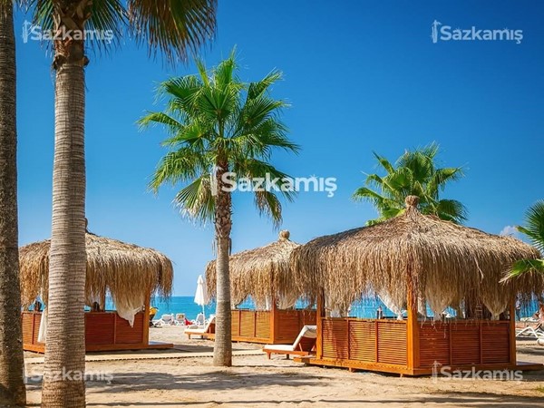 Hasır Kamelya Ürünleri