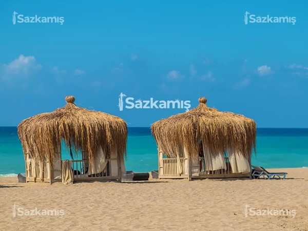 Hasır Kamelya Ürünleri