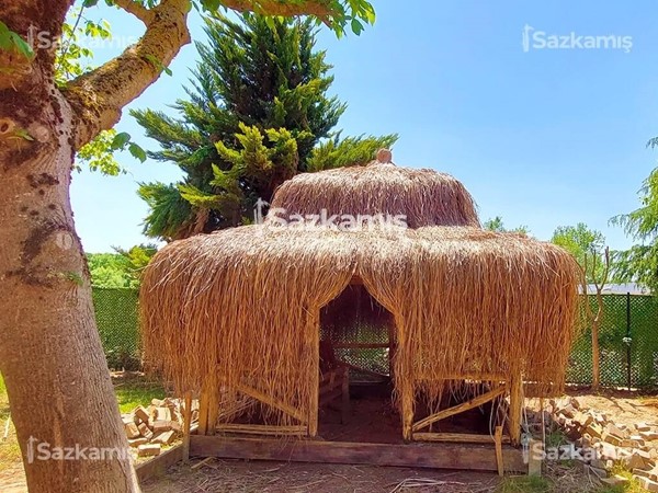 Hasır Kamelya Ürünleri