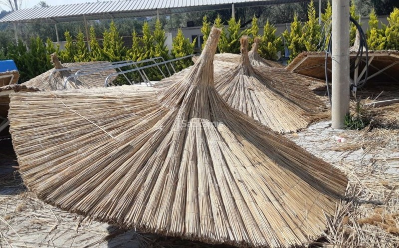 Kamış Şemsiye