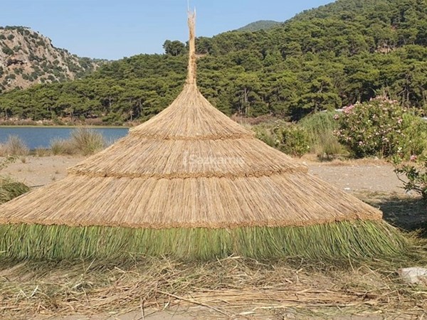 Kamış Çatı Kaplama