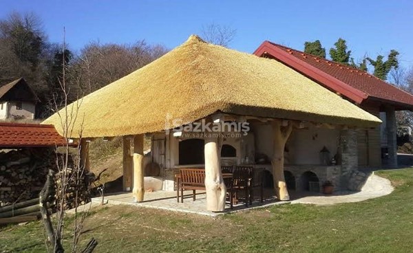 Afrika çatısı bakımı nasıl yapılır? Nasıl temizlenir?